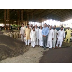 Sirsa News, Hindi News, mandi sarso, Sirsa