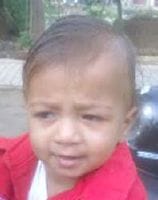 dogs kill 4 years girl, 