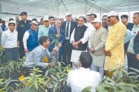 farmer, deveplopmment, kurukshetra, haryana, 