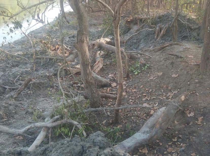 Silt whereabouts are being made Cleaning received 16 million