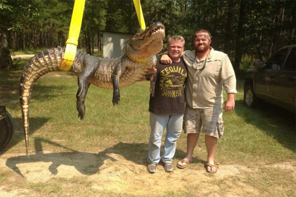 US alligator hunters break record for biggest beast ever caught