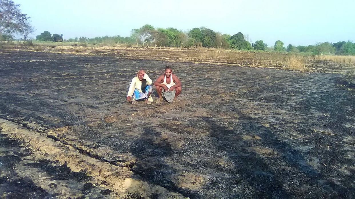 40 acres of wheat ash fire