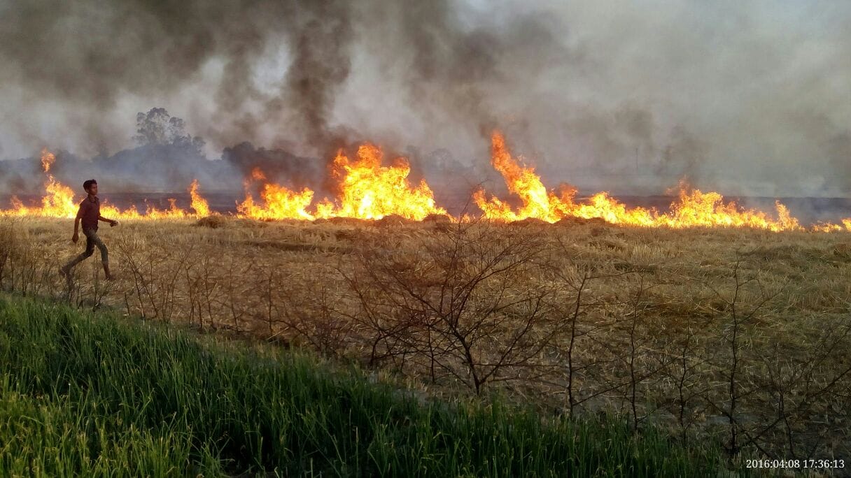 The fire continued to havoc