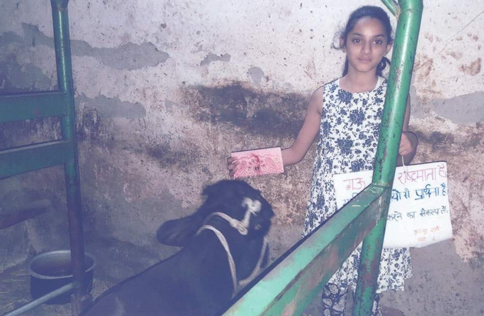 ananya donate money for injured cow