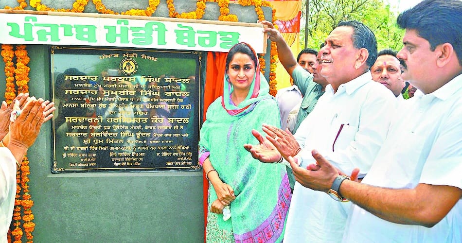 punjab assembly election, minister harsimrat kaur, punjab aap, punjab politics, punjab