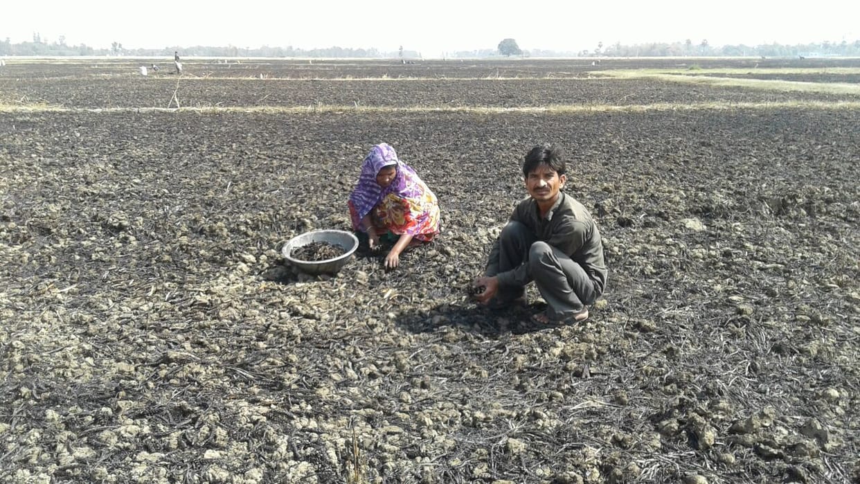 Seven fire places, 80 bigha crops burnt