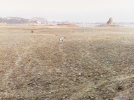 Now come from rural water tankers