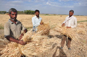 Bundelkhand Trsa water, bread Lale