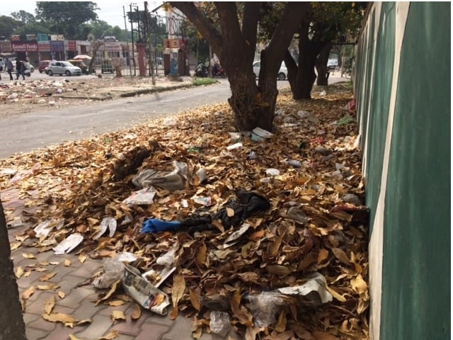 strike, city is getting the dirt, everywhere politics on garbage in mohali