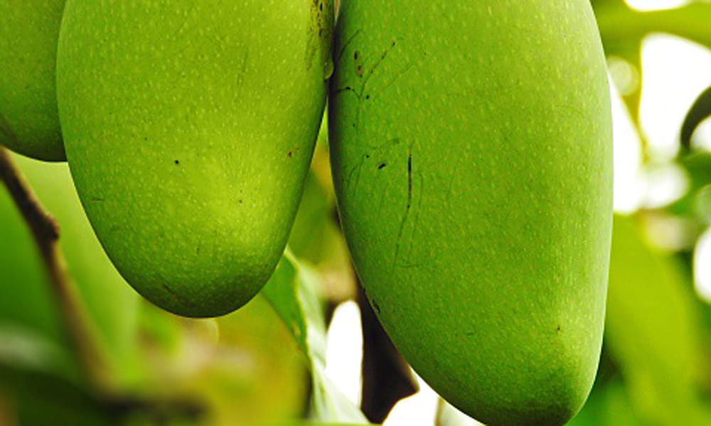 benefits of aam panna in summer