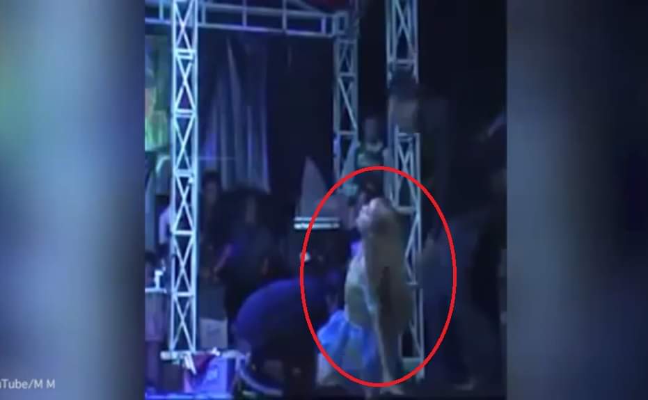 वाइरल वीडियो