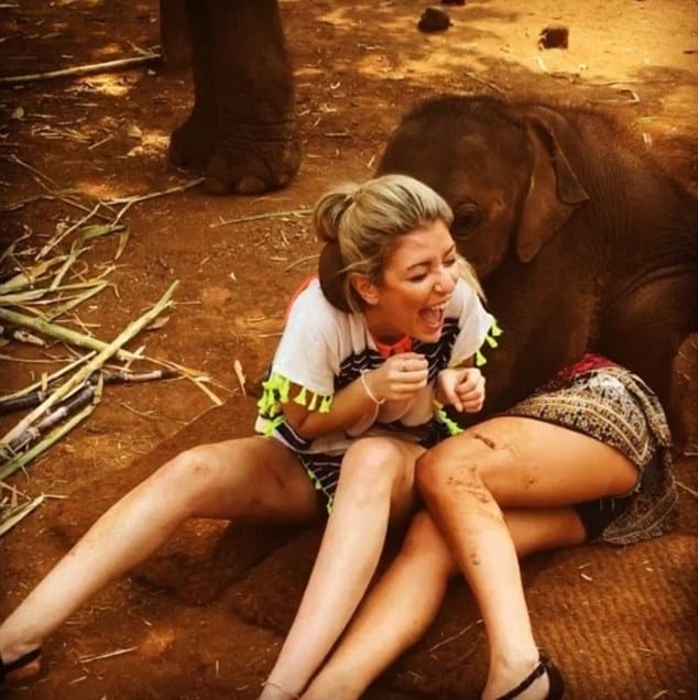 little elephant from thailand loves to hug people