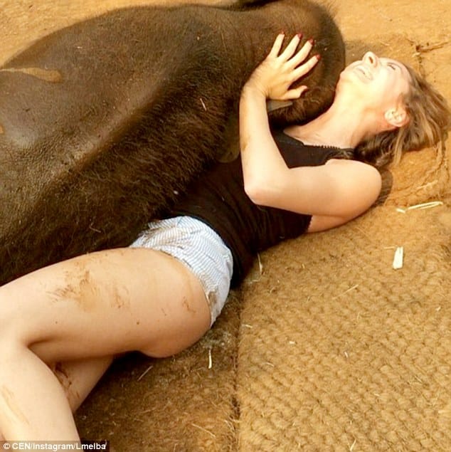 little elephant from thailand loves to hug people