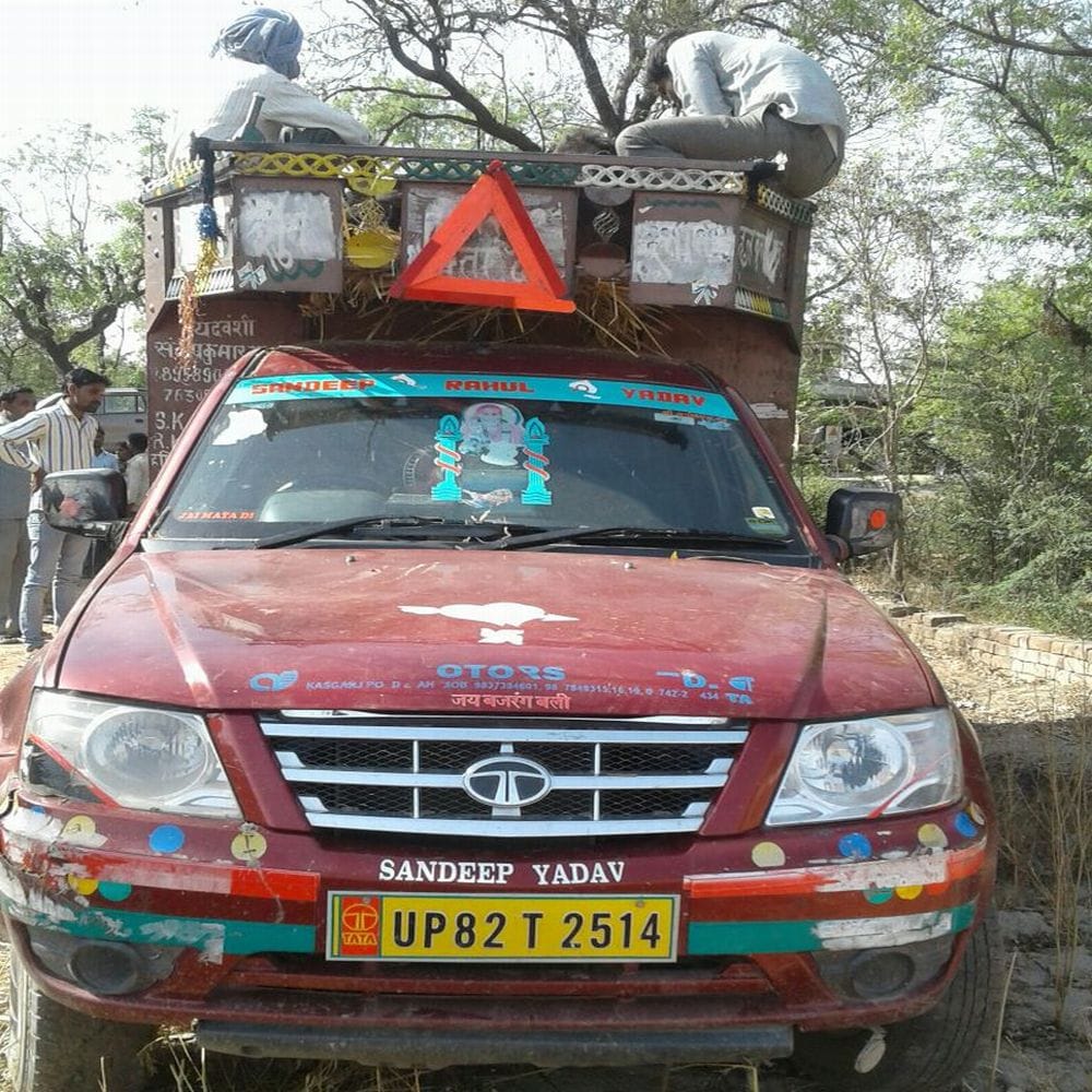 BJP members help the police conducted neat cattle free