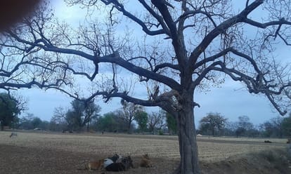 water crisis in bundelkhand