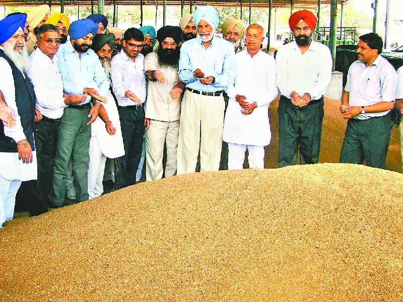 weat, mandi visit, surjit singh rakhra, patiala