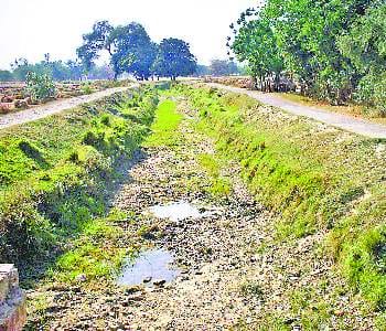 Dust flying in the canals, animals and birds suffering for water 