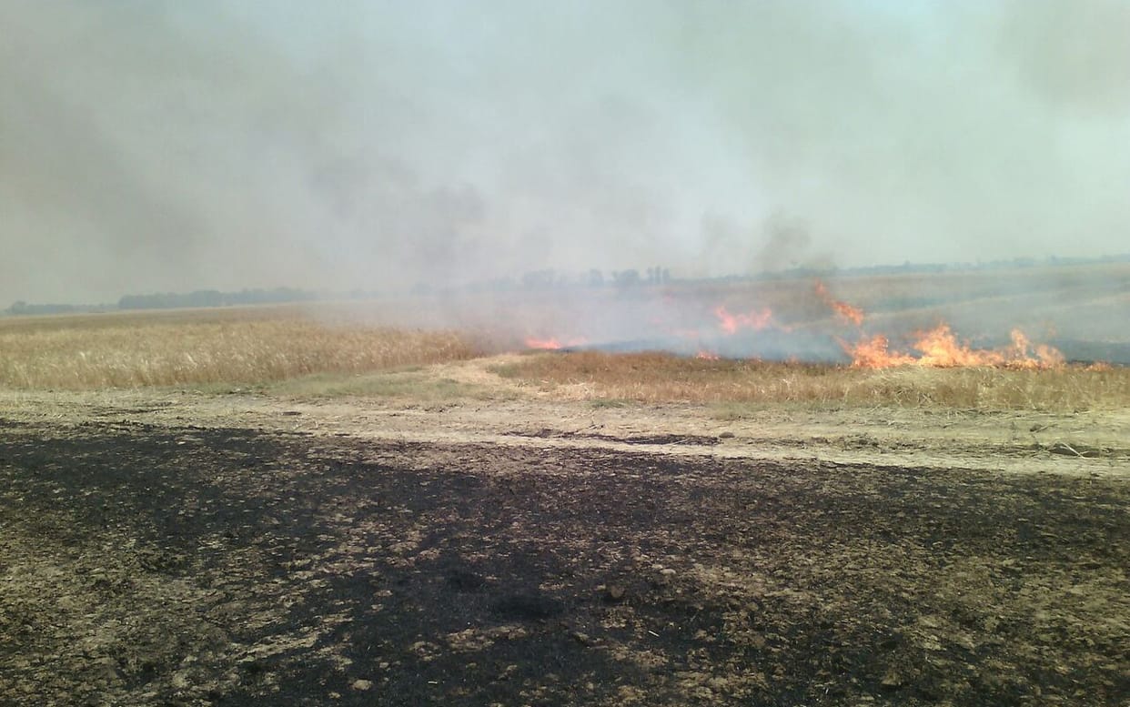  54 Family and 550 acres crops devastated in Balrampur