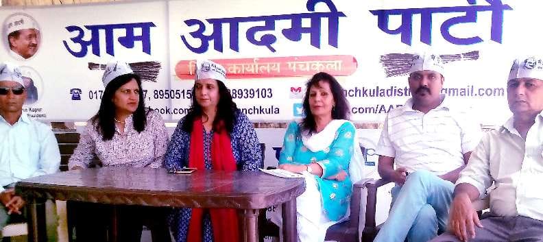 AAP Panchkula, Indore, Herbal Medicine, Flies
