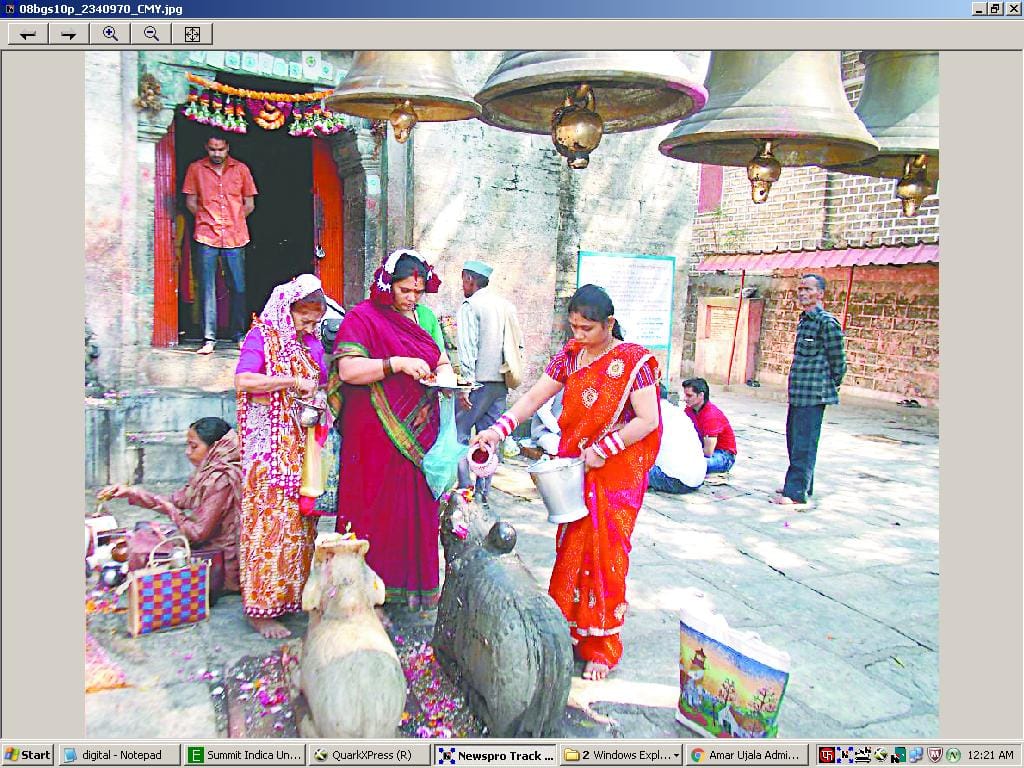 Bagnath worship