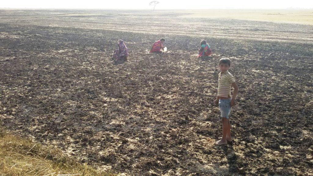 Burnt 15 huts and 70 bigha crop