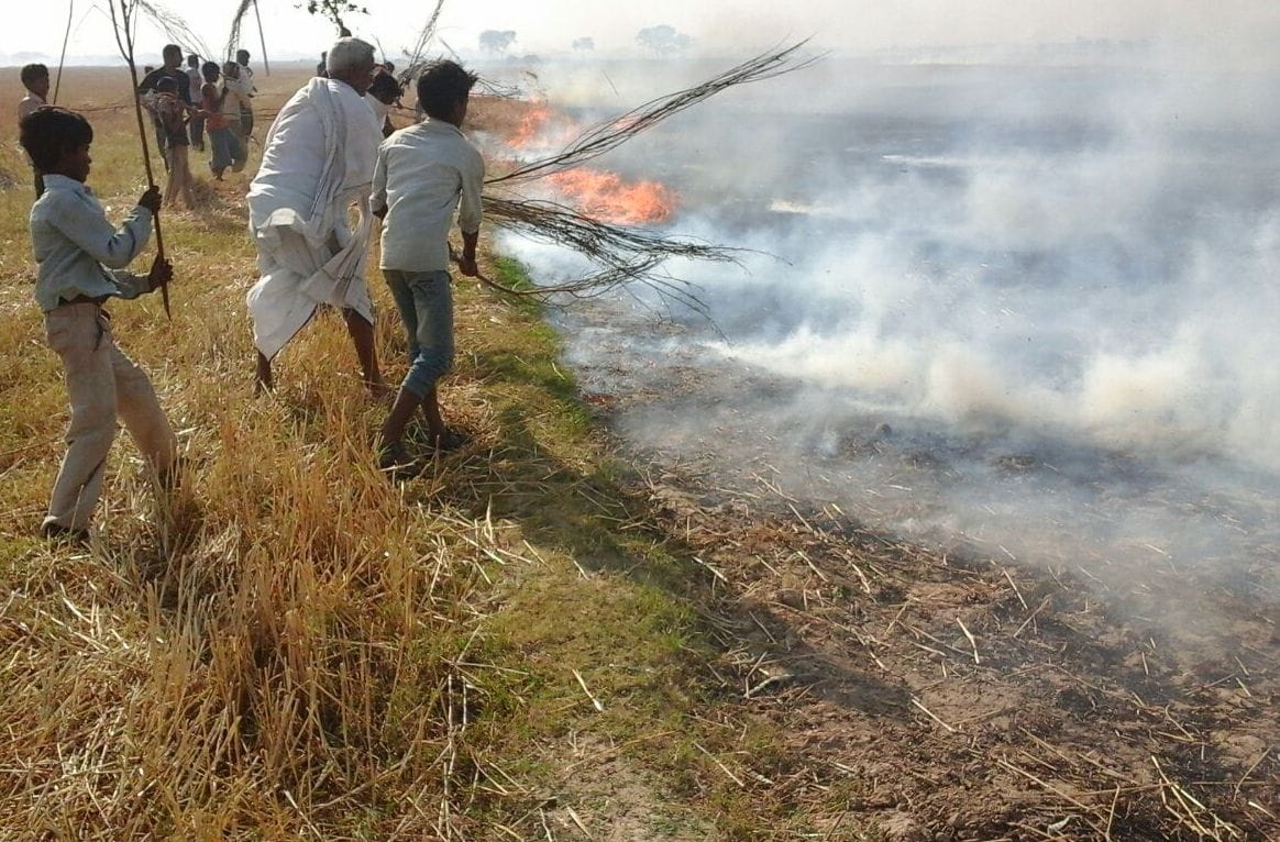 Eyes burned crops