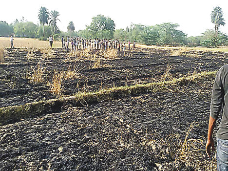 HT line is destroying crop, farmers are waiting for compensation