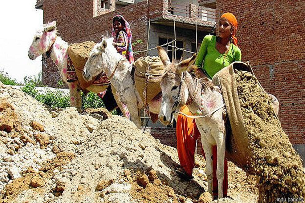 importance of donkey and make in india