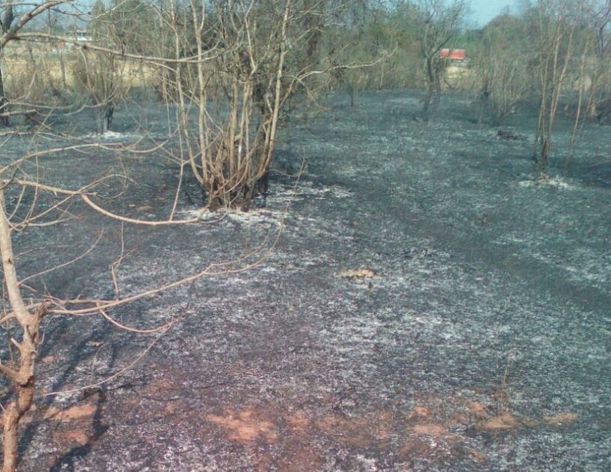 Fasils park complex damage by fire 