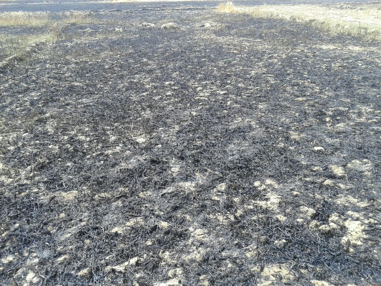 villagers beats firebrigade for late coming