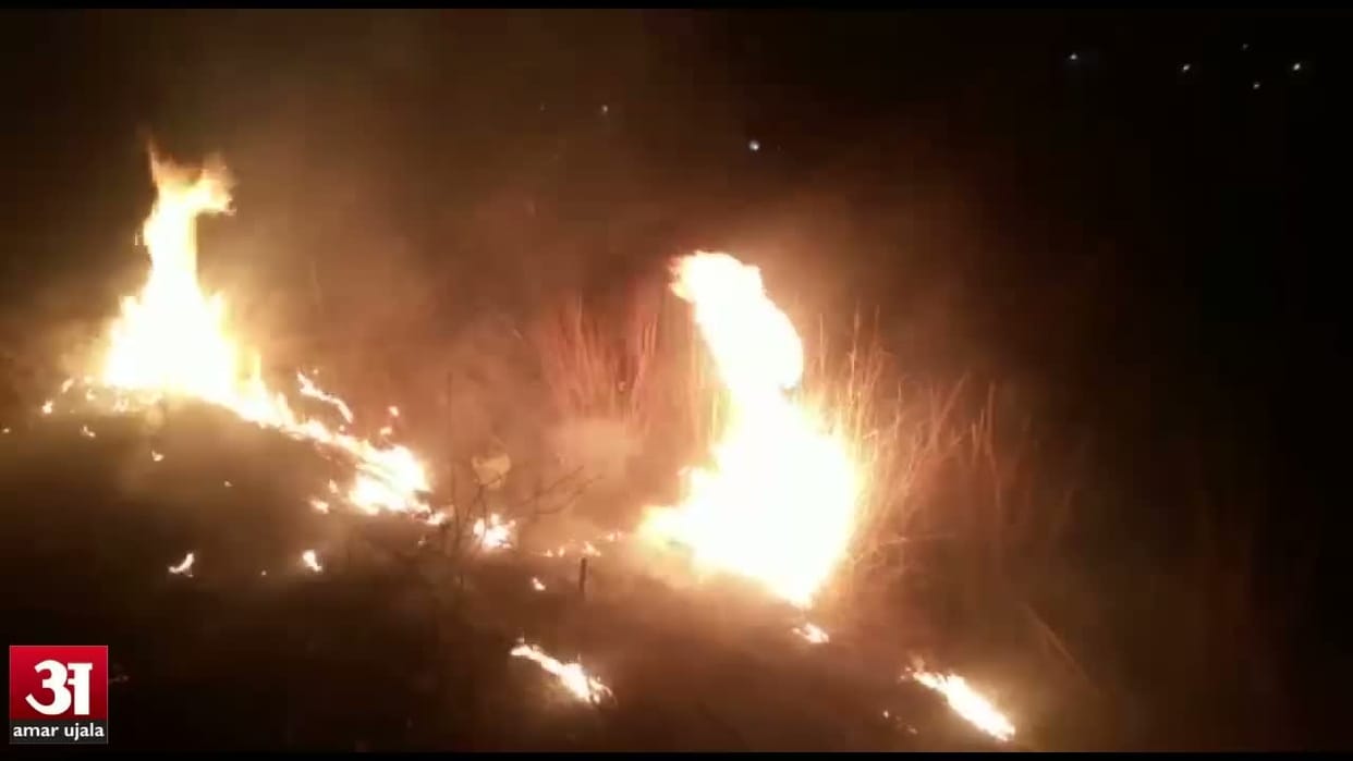bhiwani news, wheat, crop, fire, acre, two