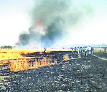 The fire burned 35 acres of wheat