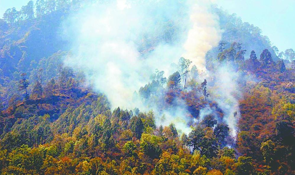 10 hectares of forest burned in Hupli
