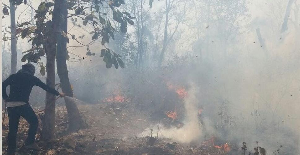 Forest fire, found five hours later Overcome