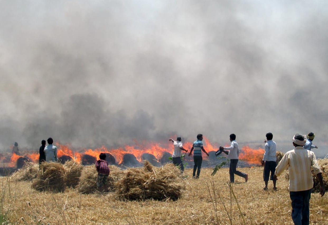 1,000 acres Harvest burned