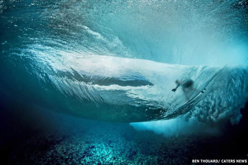 sea surfing caters pictures