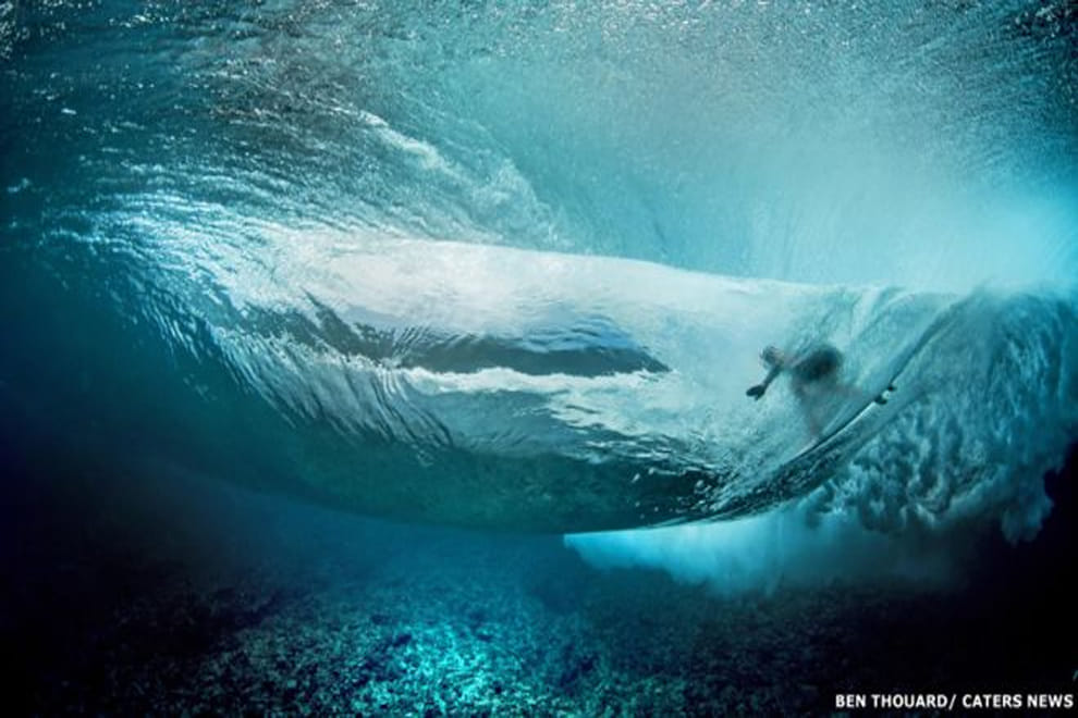 sea surfing caters pictures