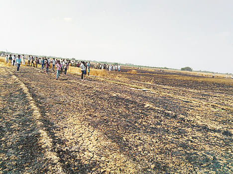 The fire burned 84 acres of wheat crop