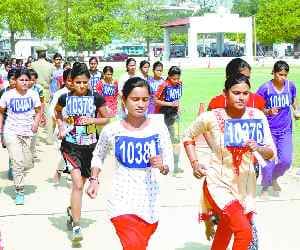 711 candidates to the cross first hurdle