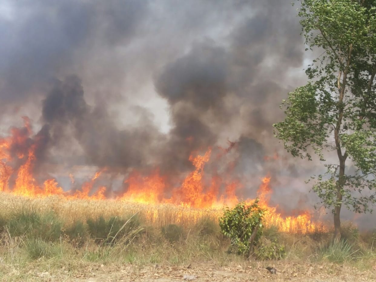 Dhke grueling terrain from fire , causing chaos