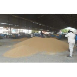 Fatehabad News, Hindi News, agriculture, wheat, farmer, purchase, Fatehabad