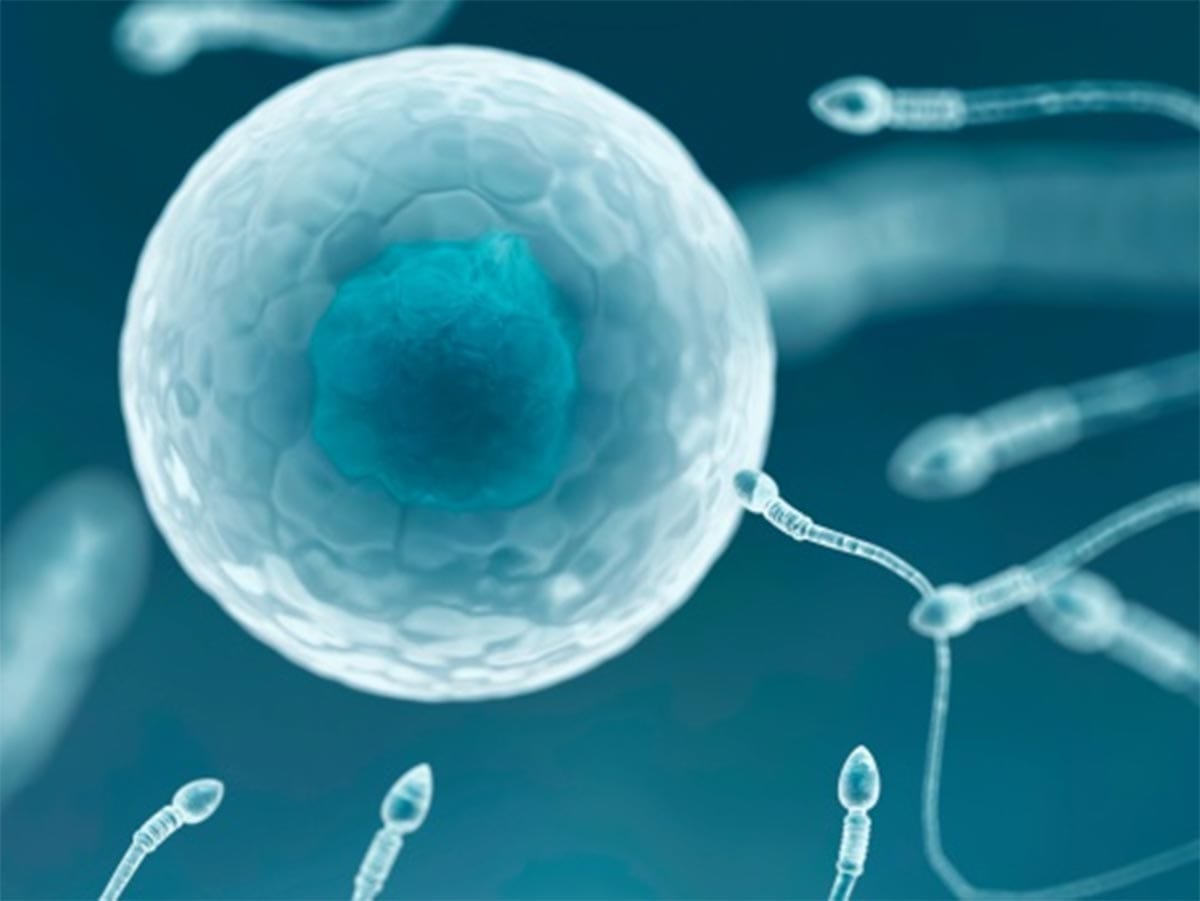 diseases of embryo will investigate in fetus
