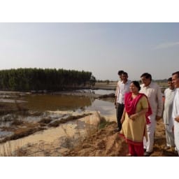 jhajjar, news, bhukhal, jhajjar