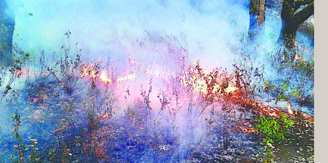  Police in front of the farm and set fire