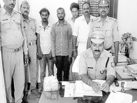 Cattle theft, robbery arrested three vicious