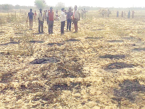 Ash hundreds of acres of wheat crop