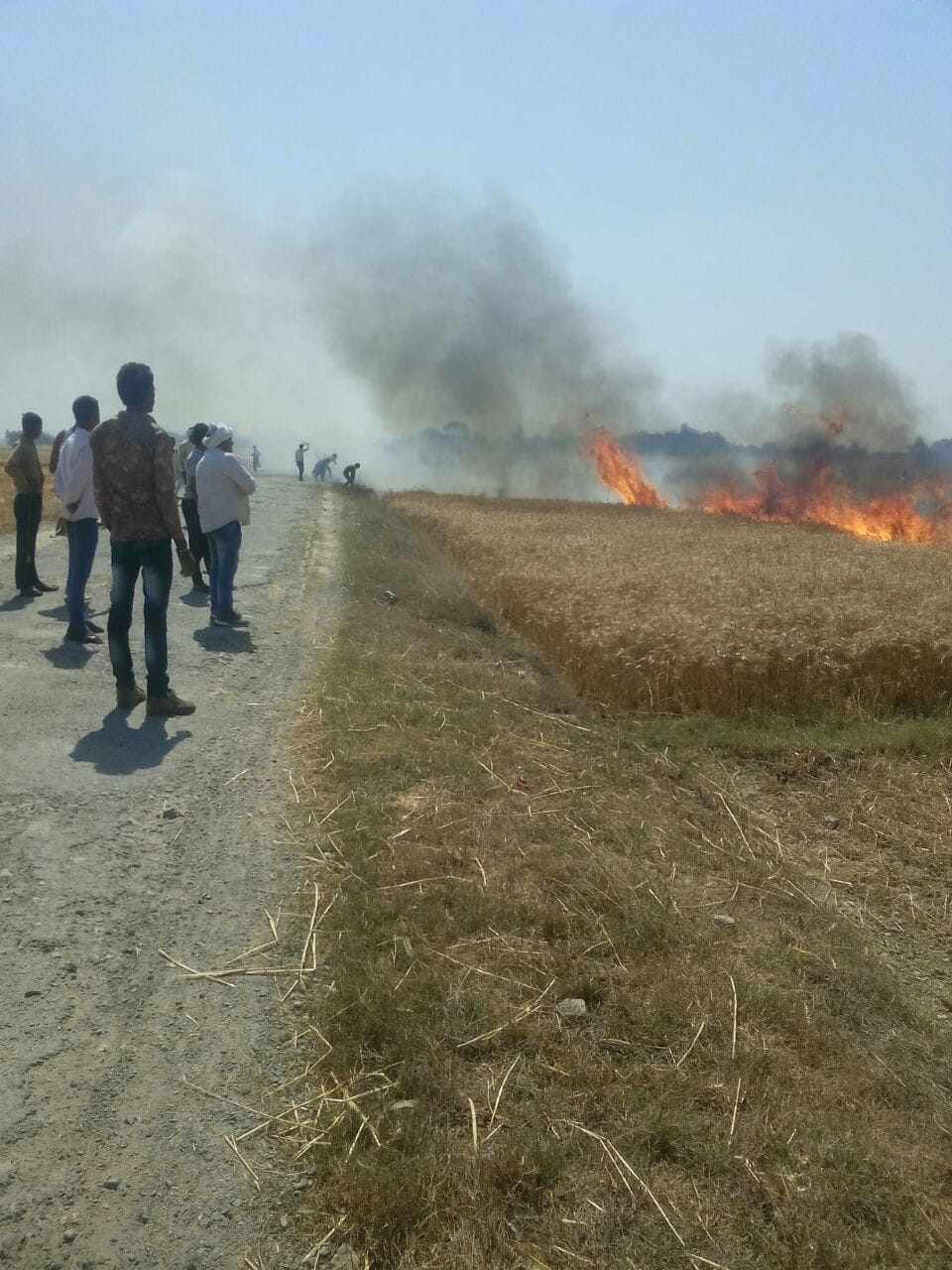 16 fire places, 300 bigha crops burnt
