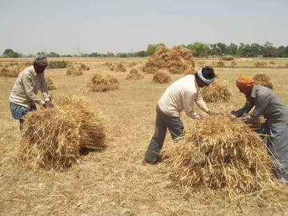 UP: 1.62 करोड़ से अधिक का भूसा खा गए ‘अफसर’, 40 गोशालाओं में 41 भुगतानों में अनियमितताएं मिली हैं Officers ate straw worth more than Rs 1.62 crore, irregularities found in 41 payments in 40 cow shelters