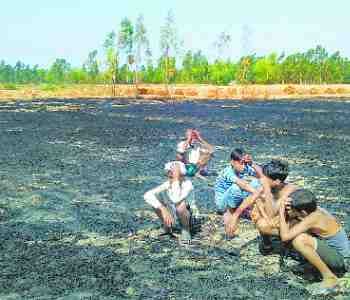 A fire burned 42 acres of wheat crop