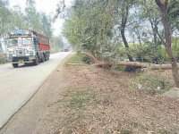 forest department 